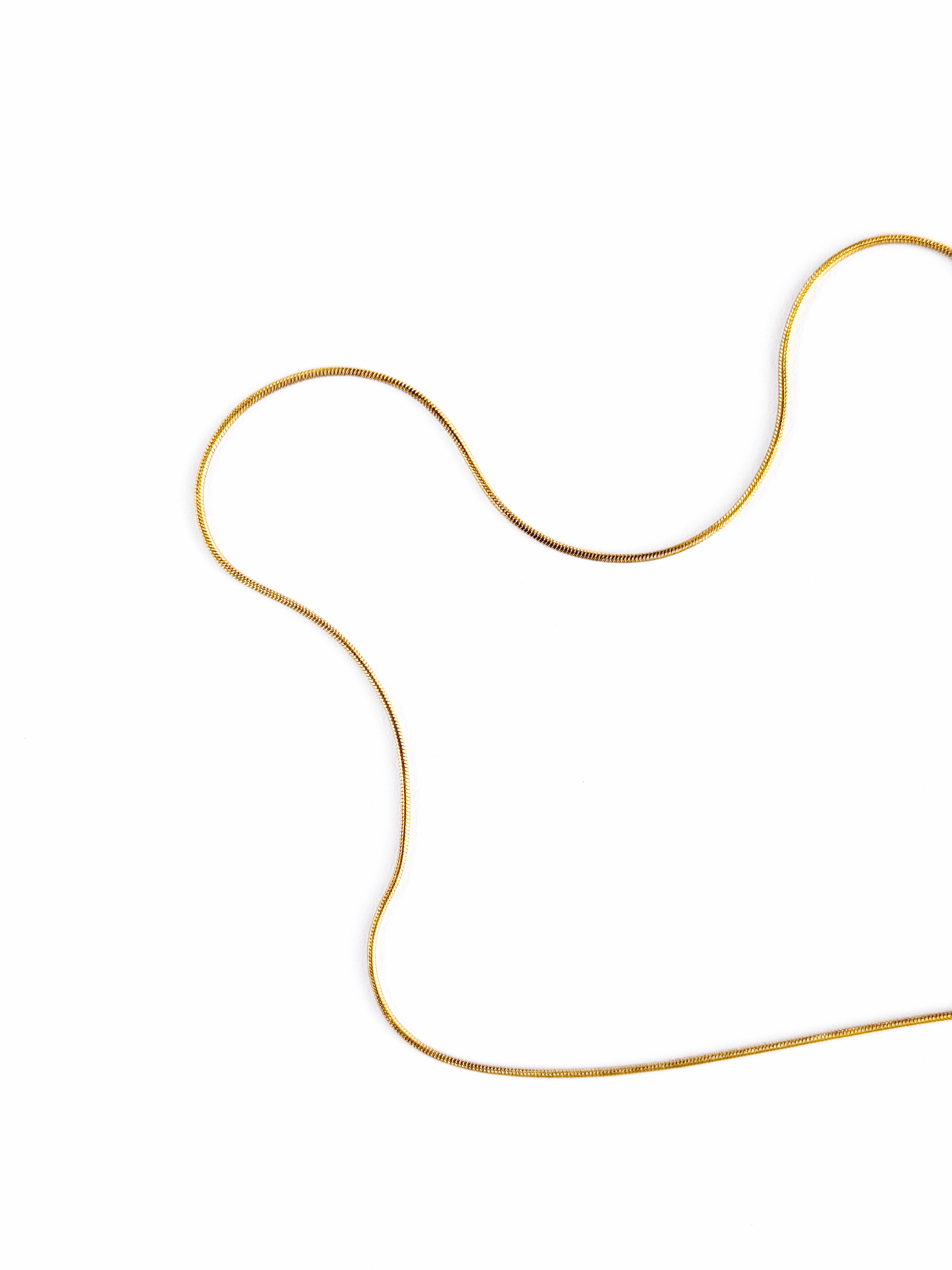 The Bold Chain